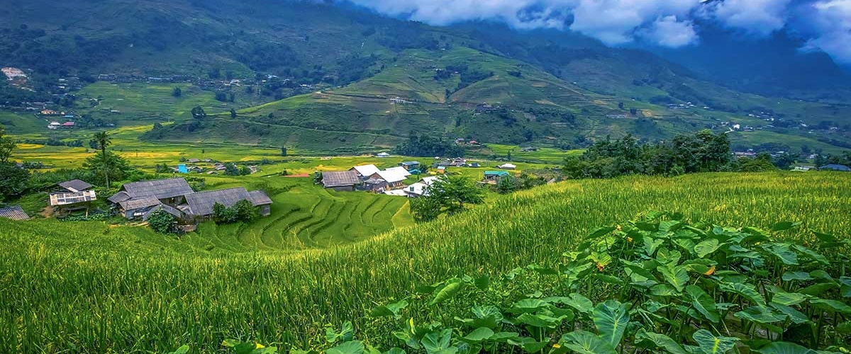 Y LINH HO, LAO CHAI & TA VAN VILLAGES (FROM SAPA – HALF DAY TOUR)