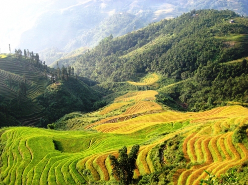 Sapa - Lao Chai - Ta Van - Cat Cat Sapa (FROM SAPA – FULL DAY TOUR)