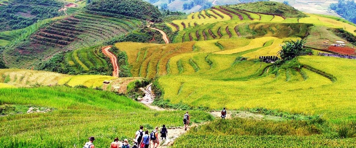 Y LINH HO, LAO CHAI & TA VAN VILLAGES (FROM SAPA – HALF DAY TOUR)