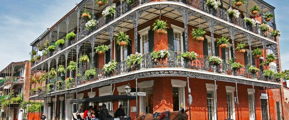 Amazing Jeep Tour for Food Lovers