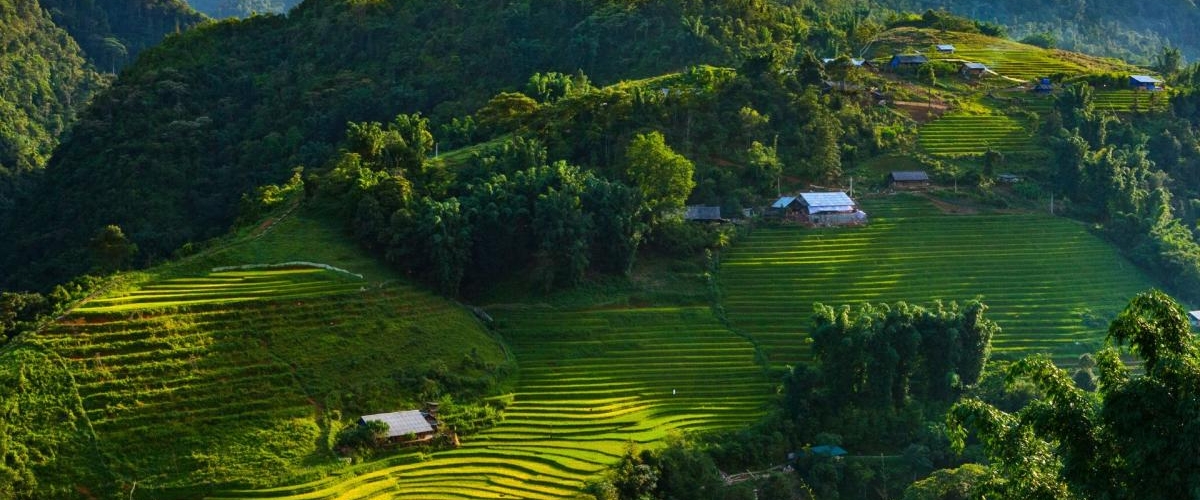 Cat Cat village (FROM SAPA – HALF DAY TOUR)